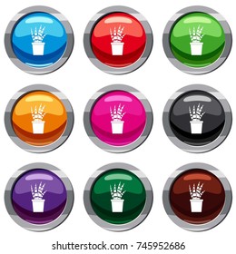 Succulent set icon isolated on white. 9 icon collection vector illustration