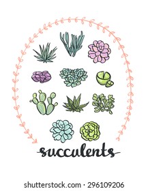 Succulent set. Vector cute Plants. 