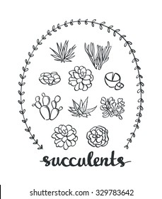 Succulent set. Vector cute Plants. Sketched objects