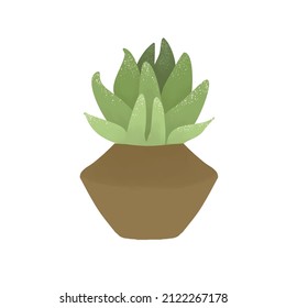 Succulent. A simple vector illustration of a home plant. Natural decor. Logo or banner element.