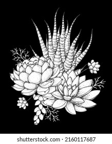 Succulent sketch composition. Hand drawn vector illustration. Floral sketch. Tattoo vintage print. Illustration for t-shirt print, fabric,greeting cards, wedding invites and other uses.