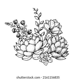 Succulent sketch composition. Hand drawn vector illustration. Floral sketch. Tattoo vintage print. Illustration for t-shirt print, fabric,greeting cards, wedding invites and other uses.