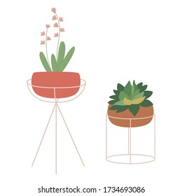 Succulent and snowdrop. Set of house indoor plants in pots. Home decor, hobby, taking care of houseplants, growing potted plants at home concepts. Flat cartoon. Vector stock illustration.