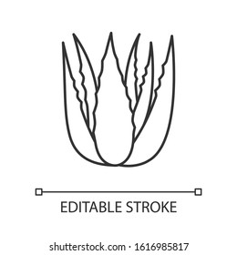 Succulent sprouts pixel perfect linear icon. Growing aloe vera. Cactus leafs and medicinal herb. Thin line customizable illustration. Contour symbol. Vector isolated outline drawing. Editable stroke
