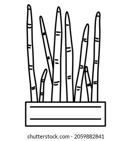 Succulent with straight long leaves. Interior decoration, creating a microclimate in the home, office. Vector icon, outline, isolated, 48x48 pixel.
