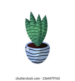 Succulent striped green flower pot for room design