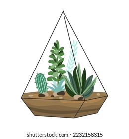 Suculento en el terrario. Dibujo vectorial de dibujos animados de Florarium. Planta tropical, decoración, interior botánico, concepto de jardinería