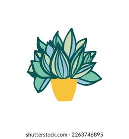 Succulent trendy greenery for home, green cactus hand drawn elements for design