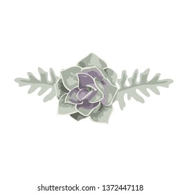 Succulent vector design objects. 