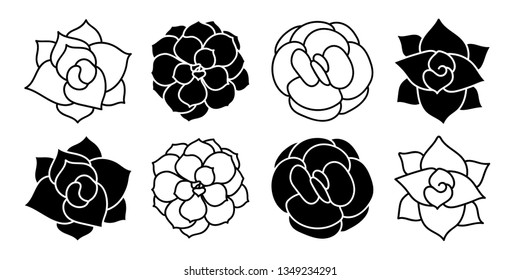 Succulent vector design. Set of black and white succulent illustration.