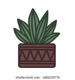 Ausgezeichnete Vektorillustration. Succulent in einem Blumentopf.Hausgemachte Blumen. Farbige, einfache Vektorillustration.