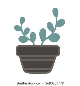 Succulent vector drawings. Succulent in a flower pot.Home flowers. Color simple vector illustration.