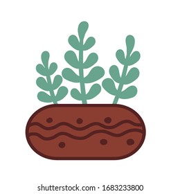 Ausgezeichnete Vektorillustration. Succulent in einem Blumentopf.Hausgemachte Blumen. Farbige, einfache Vektorillustration.