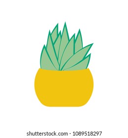 Succulent vector illustration