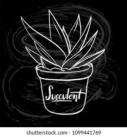Succulent vector lineart illustration with hand drawn lettering "Succulent" on blackboard for poster, banner, logo, icon, website, fashion print. 