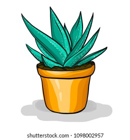Succulent vector lineart illustration for poster, banner, logo, icon, website, fashion print. 