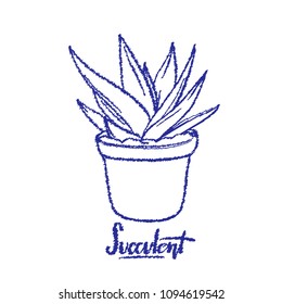 Succulent vector lineart illustration with scribble effect and hand drawn lettering "Succulent" effect of for poster, banner, logo, icon, website, fashion print.