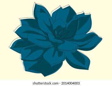 Sukkulente Vektorgrafik und flache Farbe mit Farbtupfern. Kann nur als Umriss- oder als Flachfarbe verwendet werden. Blumenvektorgrafik. Sukkulente Clipart-Kunst