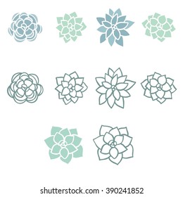 succulent vector pattern