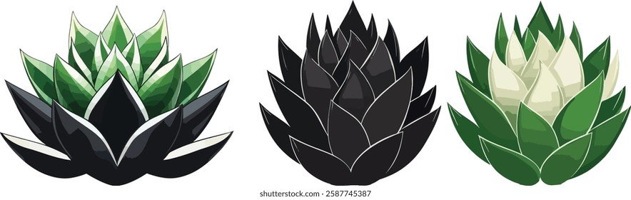 Succulent Vector Set: Green, White, and Black Isolated on White Background