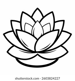 Succulent With White Background eps