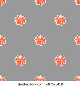 Succulent in white outline and red plane on gray background. Hand drawn style. Seamless pattern vector illustration.