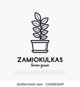 Succulent Zamiokulkas in pot. Thin line icon. Modern vector illustration of houseplant.