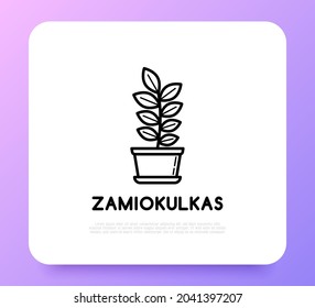 Suculentos Zamiokulkas en la olla. Icono de línea delgada. Ilustración vectorial moderna de la planta doméstica.