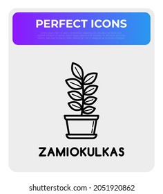 Succulent Zamiokulkas in pot. Thin line icon. Modern vector illustration of houseplant.