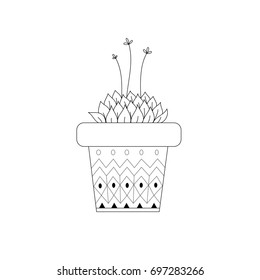 Succulent zentangle for adult coloring book page.vector illustration.