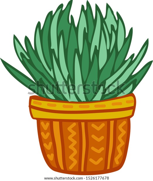 Succulente Plant Cactus Nature Clipart Stock Vector (Royalty Free ...