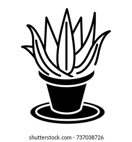 succulents aloe pot icon, vector illustration, black sign on isolated background