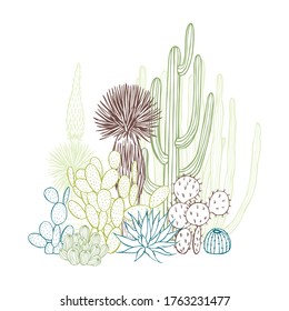 Succulents and cacti. Desert plants. Vector sketch  illustration.