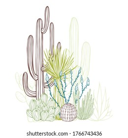 Succulents and cacti. Desert plants. Vector sketch  illustration.