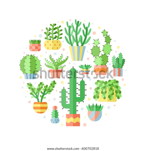 Succulents Cacti Flat Style Multicolored Circle Stock Vector (Royalty ...