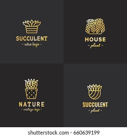 Succulents and cacti gold vector set. Hipster and retro style. 