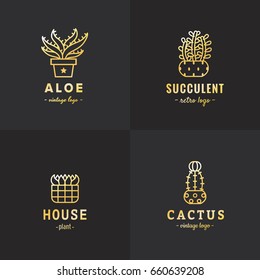 Succulents and cacti gold vector set. Hipster and retro style. 