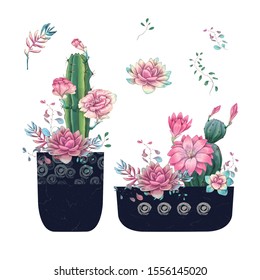 Succulents. Cacti hand drawn on a white background. Flowers in the desert. Vector drawing succulents