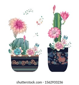 Succulents. Cacti hand drawn on a white background. Flowers in the desert. Vector drawing succulents