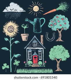 Succulents and Cacti in Pots with Geometric Terrariums Chalk Drawing Vector Set