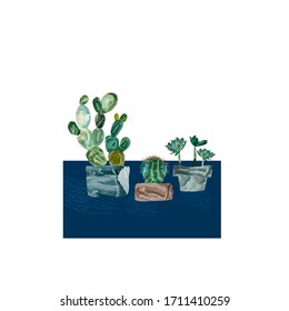 Succulents and cacti in pots isolated vector. home plants collection. watercolor