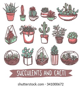 Succulents And Cacti Sketch Collection