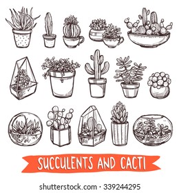 Succulents And Cacti Sketch Set