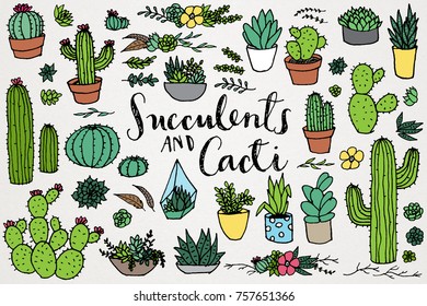 Succulents , Cacti & Terrarium Clipart Set - Includes Potted Plants, Flowers, Nature and more. 