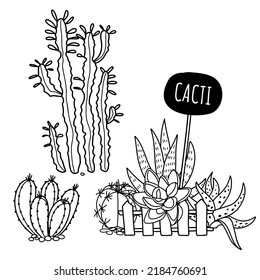 Sukkulente und cacti terrarium Zusammensetzung. Mini-Garten in Topf. Handgezeichnete Vektorgrafik.