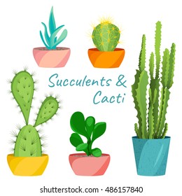 Succulents and cacti vector set on white background. Home interior floral design elements. Green house pot plants, flowers and nature concept. Tropical exotic botany collection.