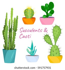 Succulents and cacti vector set on white background. House pot plants. Home interior floral design elements. Evergreen flowers and nature concept. Tropical exotic botany collection.