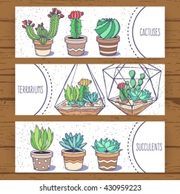 Succulents and cactus banners; hand drawn vector doodle illustration in sketch style with cacti, geometrical terrariums, pots; green home flowers and glass jars; template flyers for flower shop