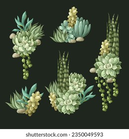 Succulents and cactus isolated. Vector