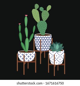 Succulents and cactus plants in decorative ceramic pots. Boho style vector illustration. Cute set of cacti and house plants.